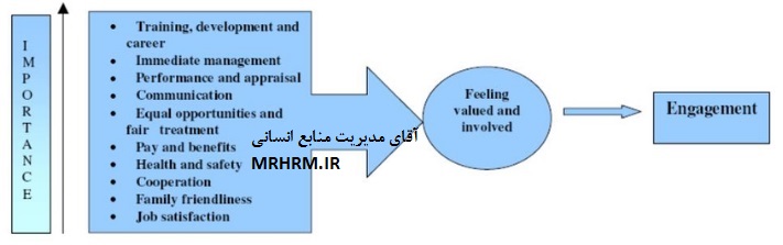 مدل تعلق سازمانی (دلبستگی) موسسه مطالعات کارکنان